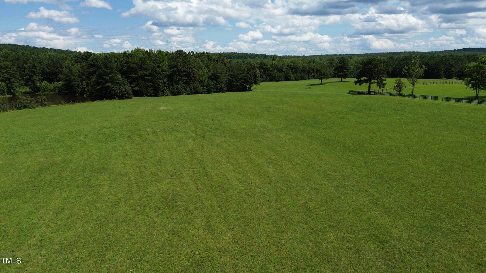 A vast green pasture under a partly cloudy sky, bordered by a dense forest on the horizon. The landscape is open and serene, with a few scattered trees and a distant fence visible.