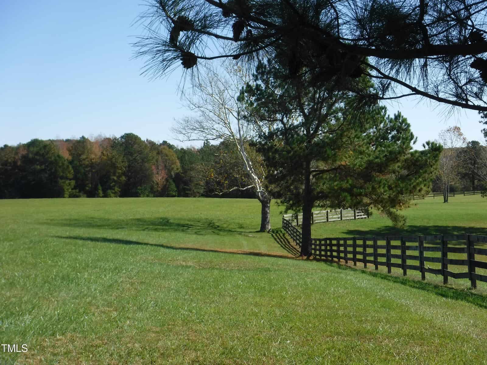 A green meadow with a wooden fence on the right side, lined with tall trees. A mix of pine and deciduous trees are scattered throughout, with distant trees forming a dense border on the horizon under a clear blue sky.