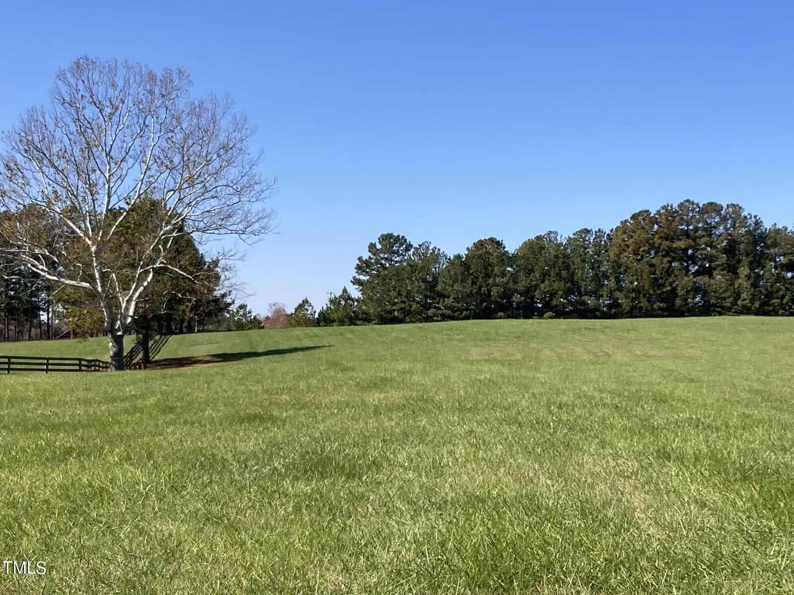 A vast green field under a clear blue sky, bordered by a mix of leafless and evergreen trees. A wooden fence spans the left side of the image, and a lone bare tree stands prominently in the field.