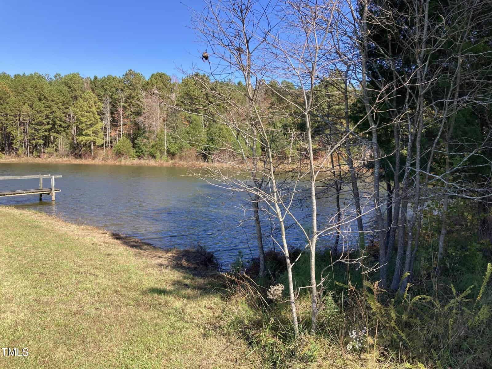 A peaceful lake scene with clear blue water surrounded by lush trees. Bare branches are in the foreground, with a small wooden pier extending over the water. The sky is a bright, clear blue, and the grassy shore adds a touch of green.
