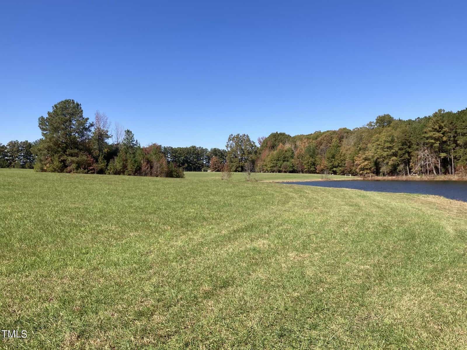 A vast, grassy field stretches toward a wooded area with trees beginning to turn autumn colors. A small pond is visible on the right, bordered by the forest. The sky is clear and blue, adding to the serene landscape.