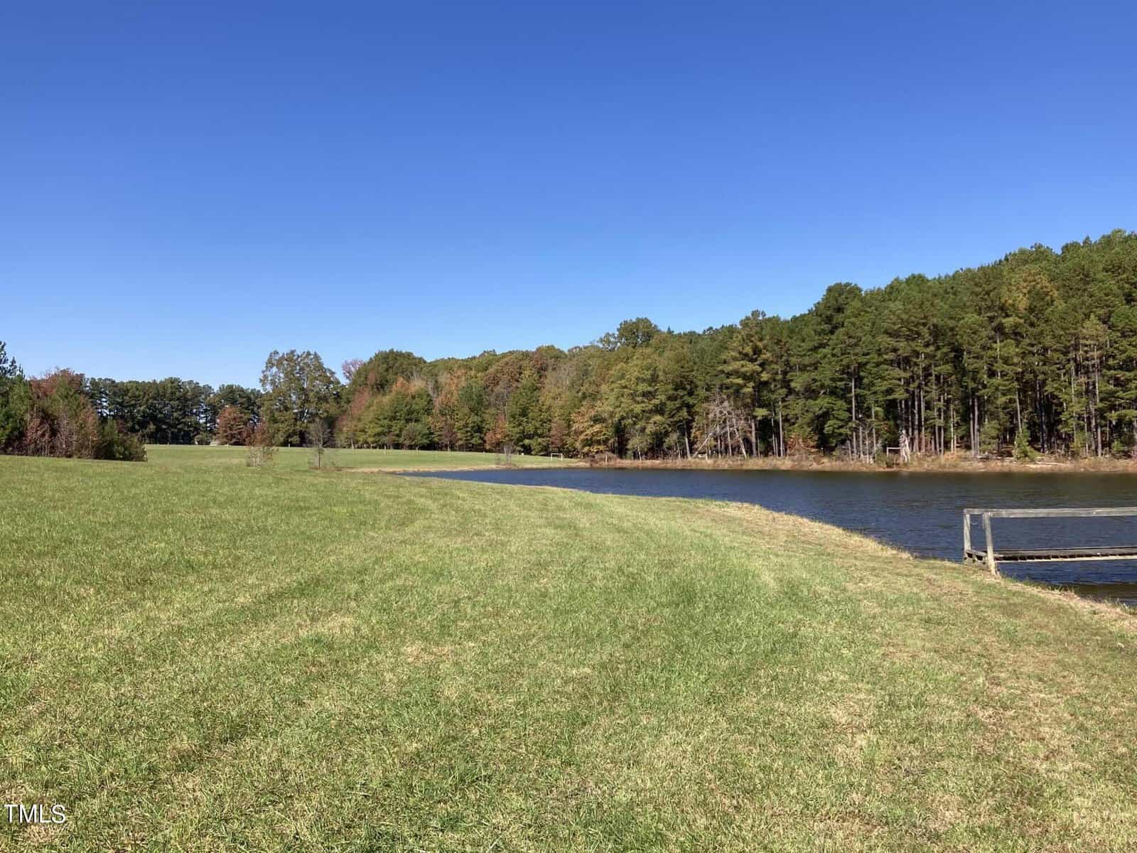 A peaceful landscape featuring a grassy field beside a calm lake. The lake is bordered by a dense line of trees with green and hints of autumn colors under a clear blue sky.