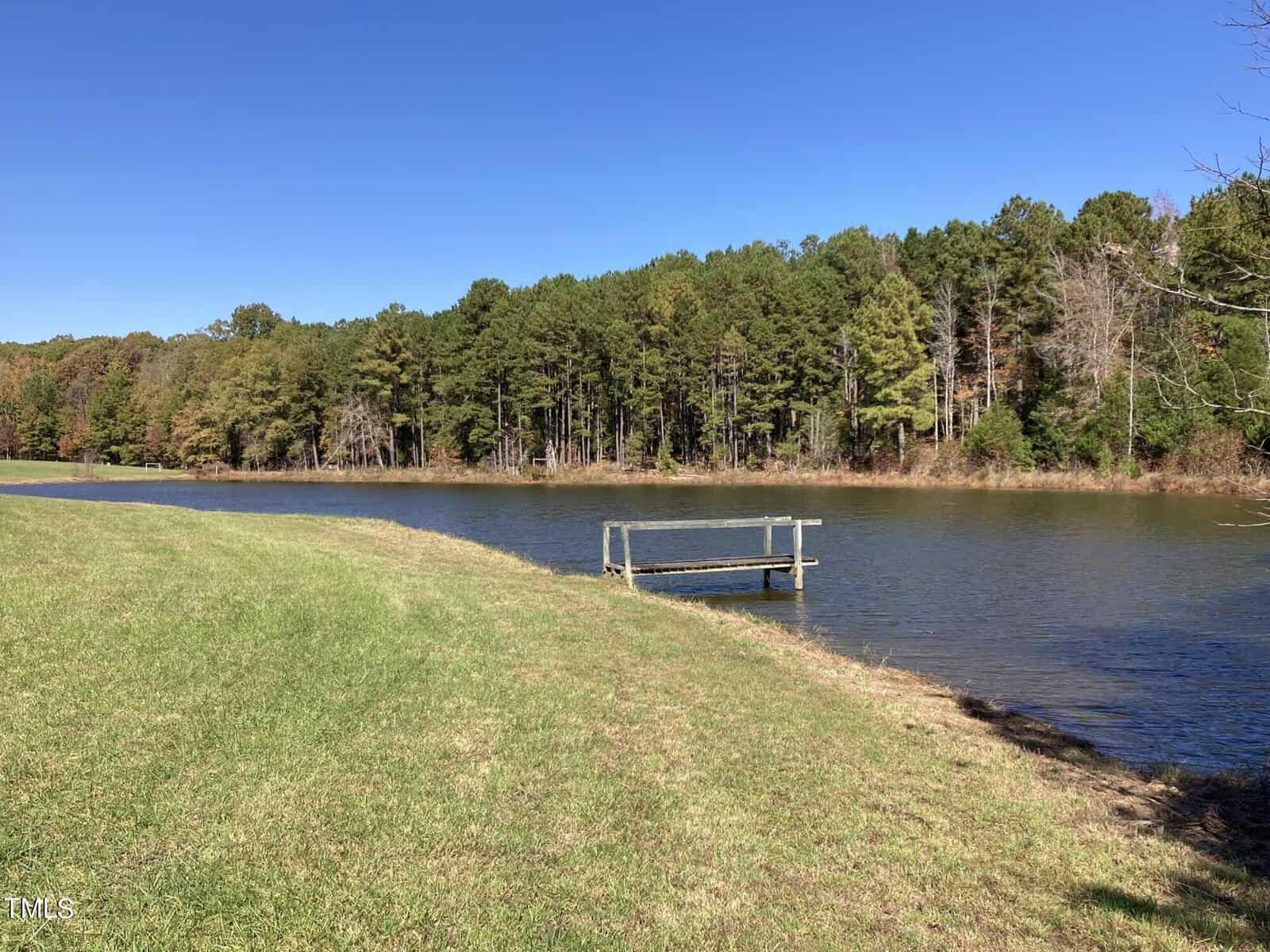 A serene pond with a small wooden dock extending into the water. Surrounded by a grassy field and a forest of green and slightly autumn-tinted trees under a clear blue sky.