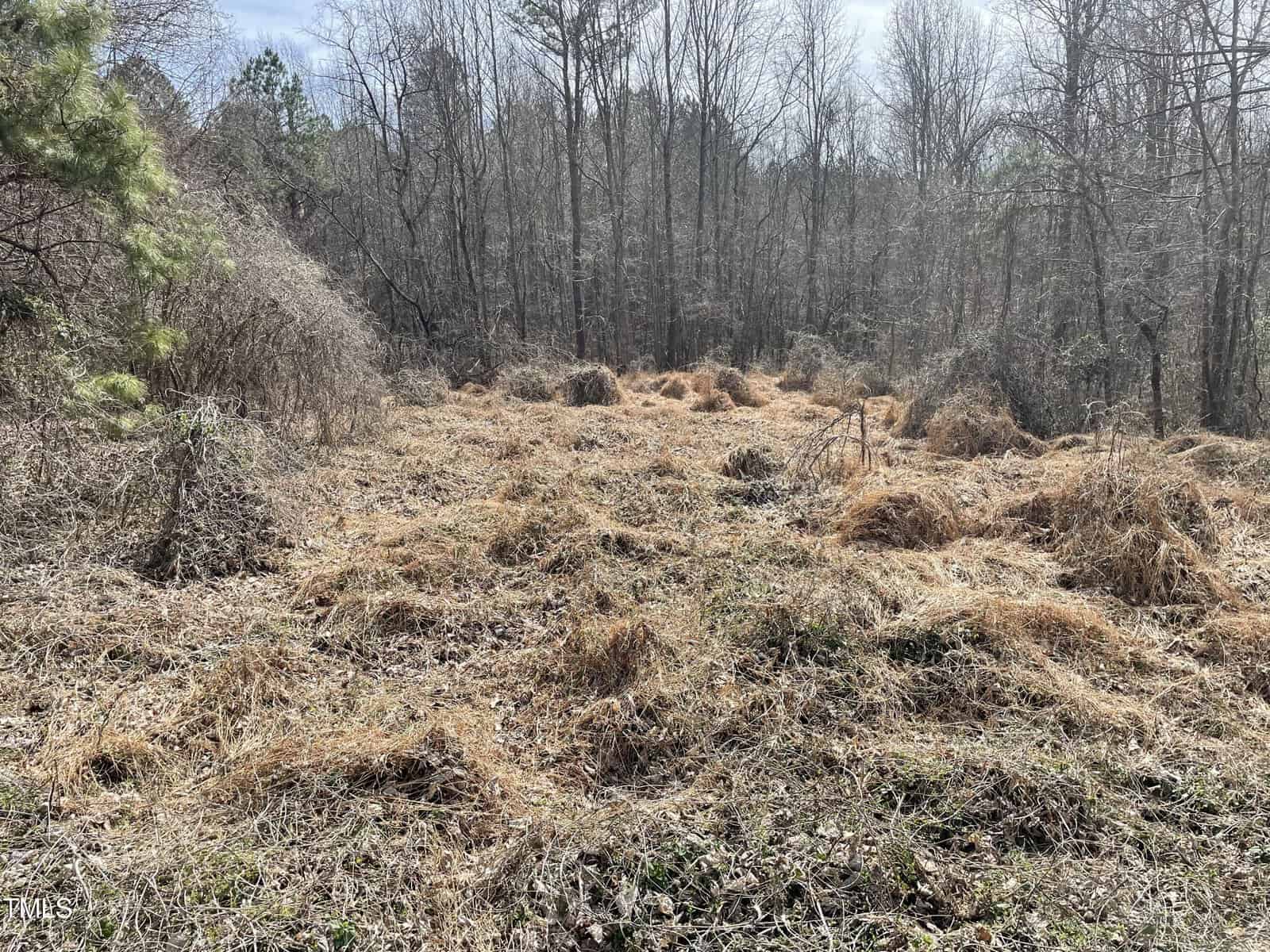 A clearing in a forest with piles of dried grass and leaves scattered across the ground; bare trees surround the area and sunlight filters through the branches.