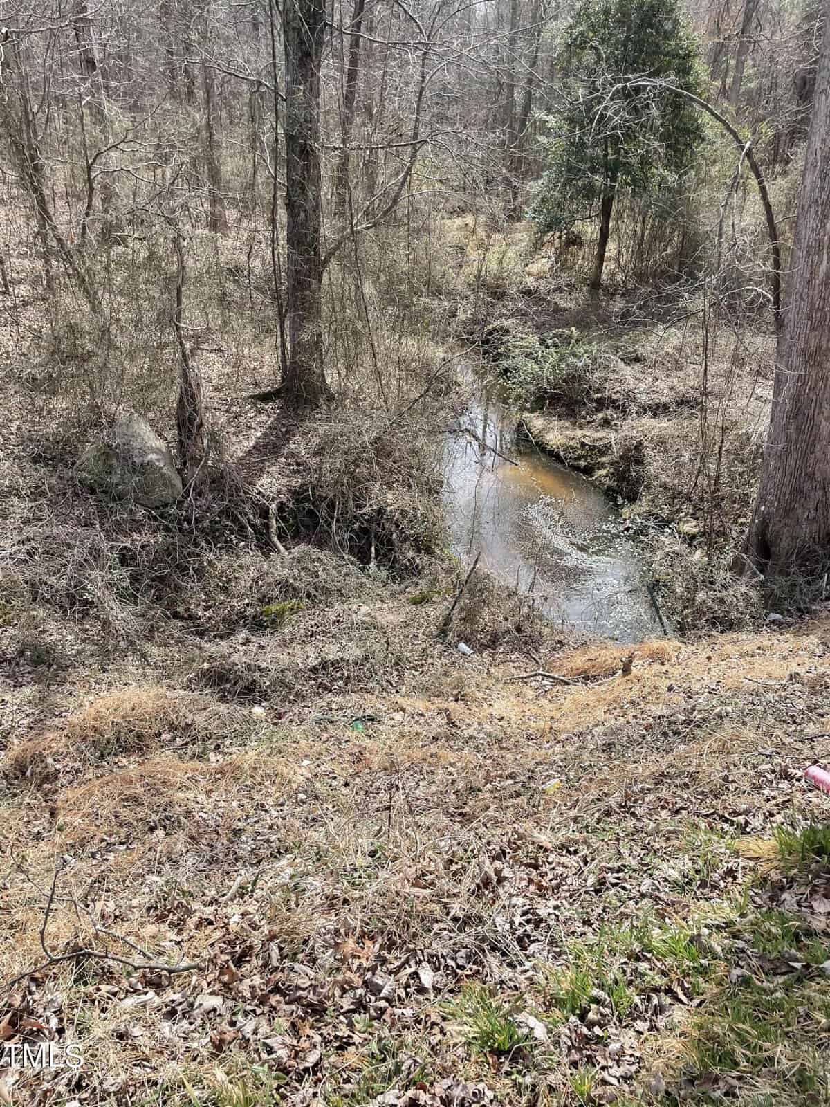 A small, shallow creek winds through a forested area with bare trees and brown, leaf-covered ground. Sparse green grass and patches of moss appear along the creek bank on a cloudy day.