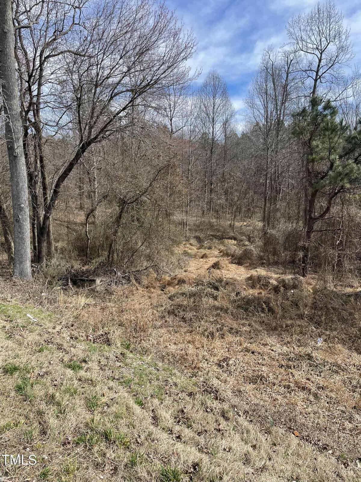 A grassy, sloped area leads into a wooded scene with leafless trees and scattered evergreens under a partly cloudy blue sky. The terrain appears uneven and overgrown with dry grass and brush.