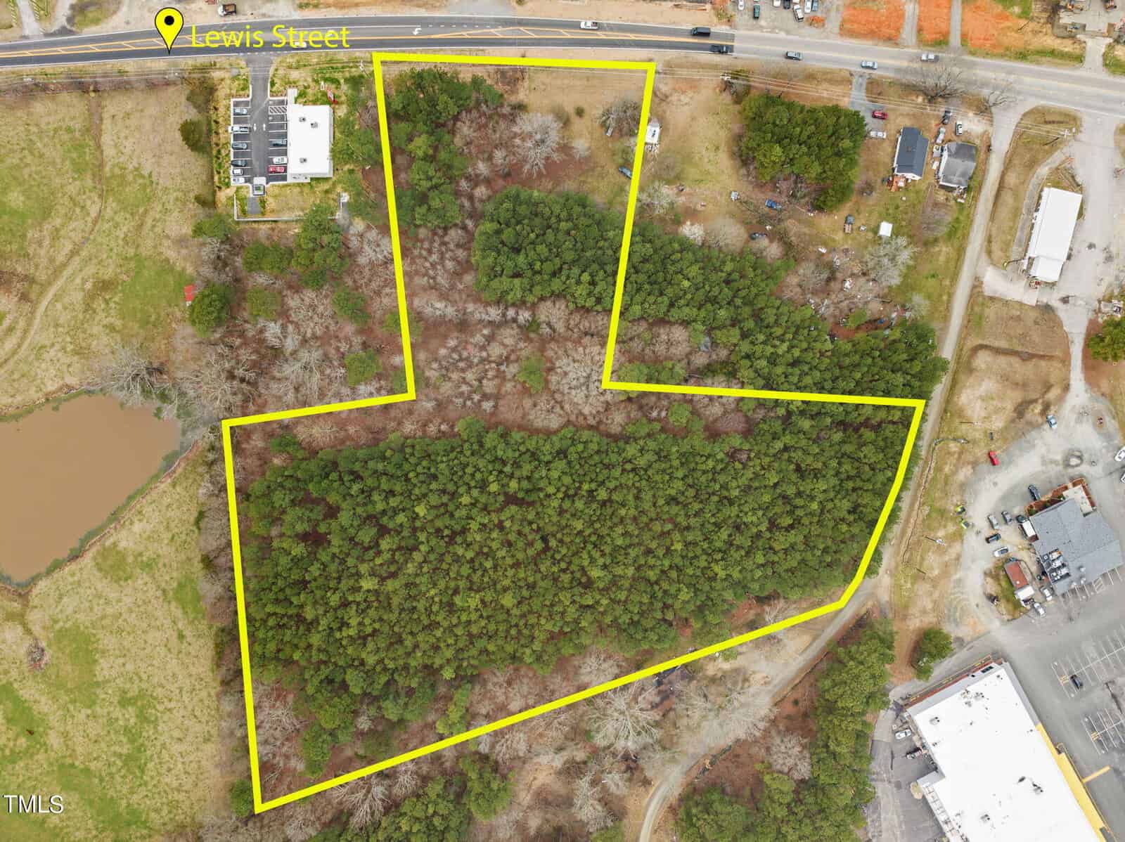 Aerial view of a wooded area outlined in yellow, indicating a parcel of land near Lewis Street. The image shows surrounding roads, buildings, and green spaces in a semi-urban setting.
