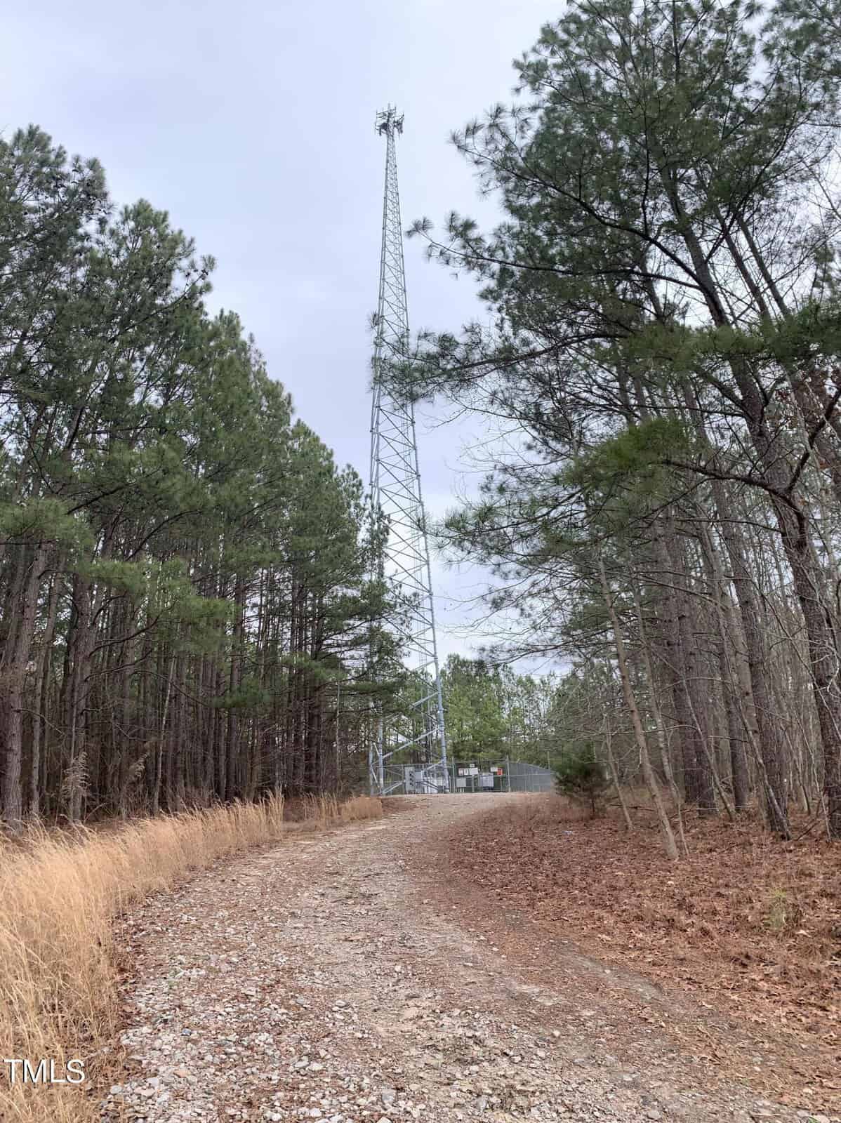 A gravel path in Henderson, NC, leading through a wooded area with tall pine trees to a tall communication tower enclosed by a chain-link fence under a cloudy sky.