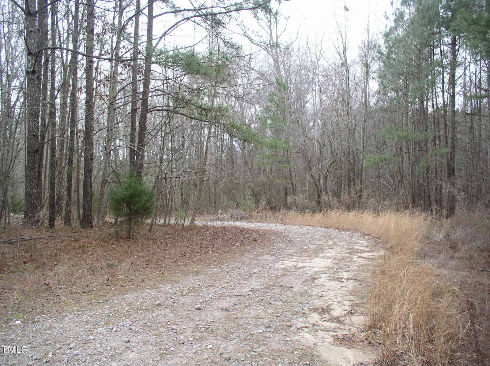 A winding dirt path lined with dry, tall grass leads through a dense forest of tall pine and leafless deciduous trees under a cloudy sky.
