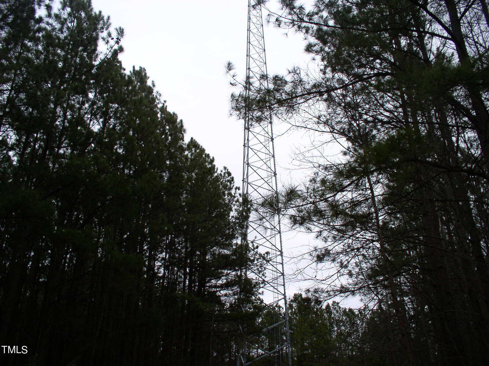 A tall communication tower surrounded by a dense forest of tall pine trees under an overcast sky.