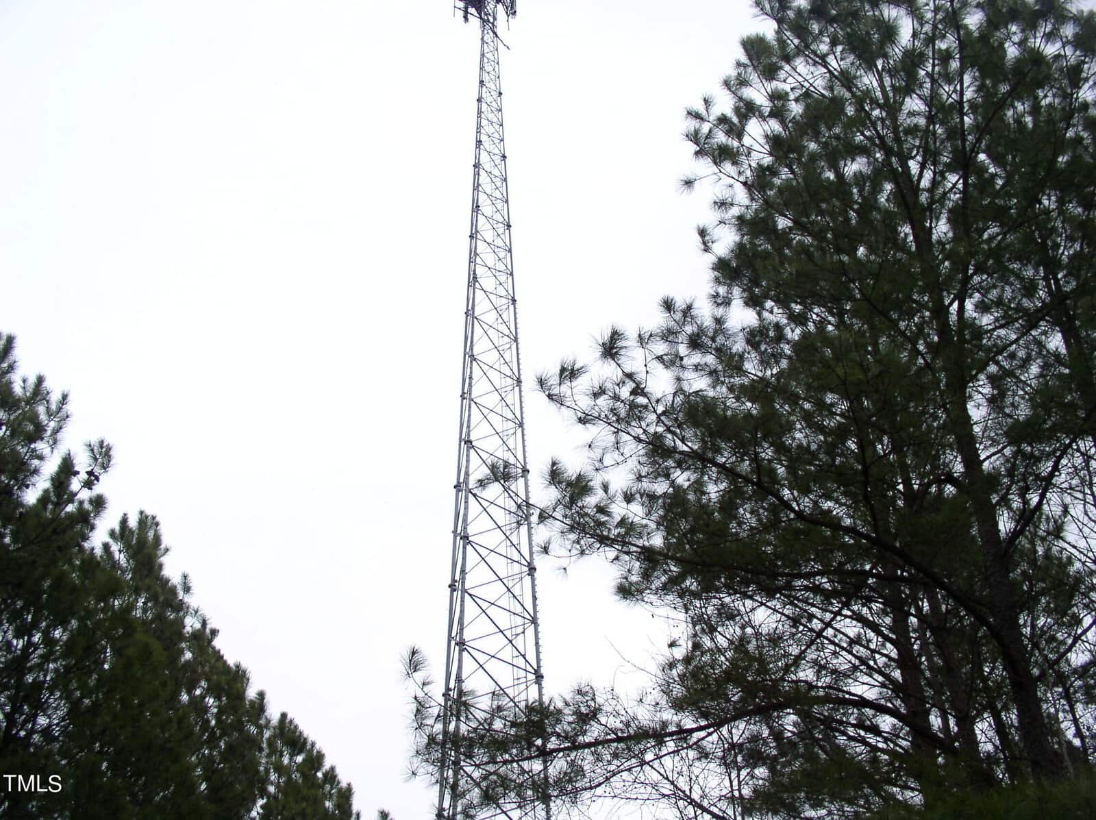 A tall, narrow metal tower stands prominently among a cluster of tall, dense pine trees under a cloudy sky.