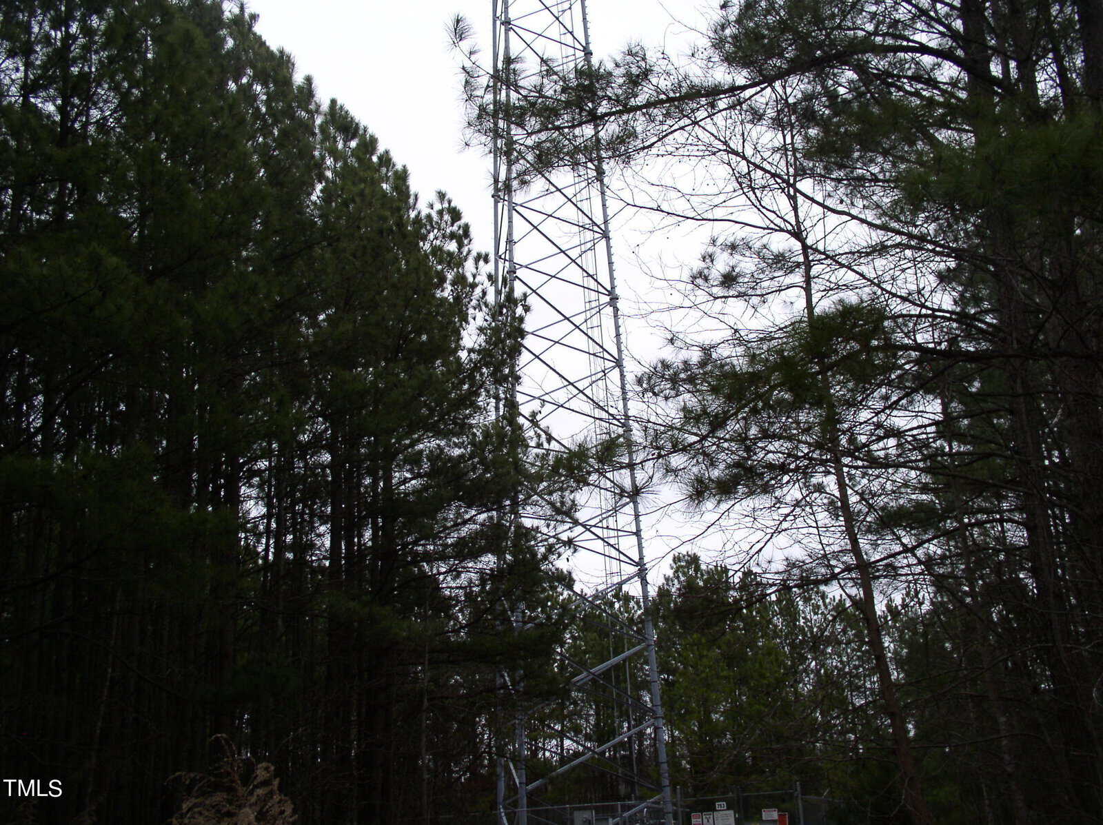 A metal transmission tower stands amidst tall pine trees under a cloudy sky. the tower's structure is partially obscured by the dense foliage.