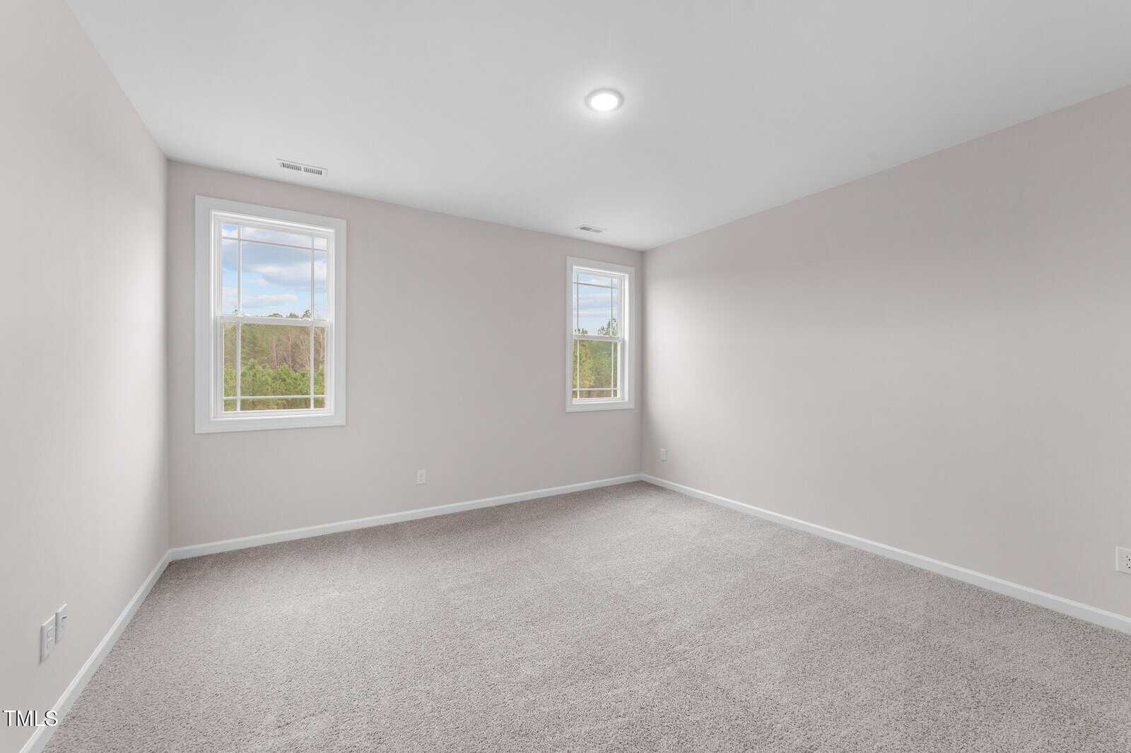 Empty room with light beige walls, two windows, a ceiling light, and light gray carpet flooring. The windows show a green outdoor view. The room is well-lit with natural light.