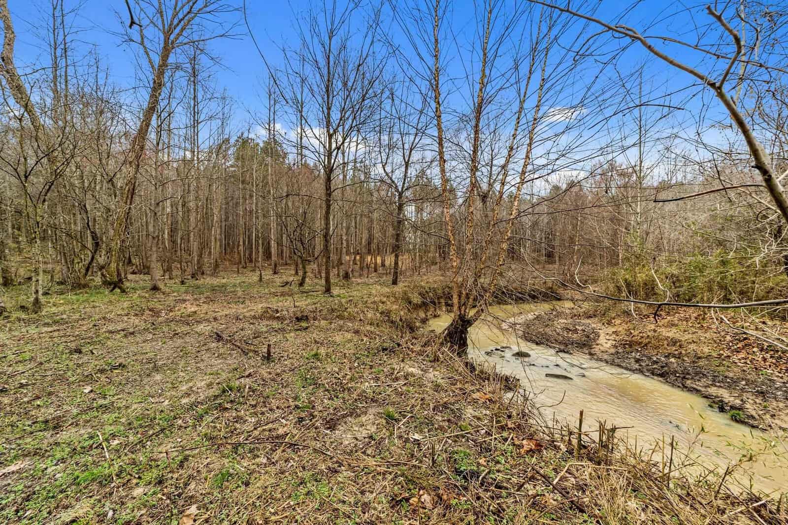 A small creek flows through a wooded area with bare trees under a clear blue sky. The ground is covered with dry grass and sparse vegetation. The scene conveys a tranquil and natural outdoor environment.