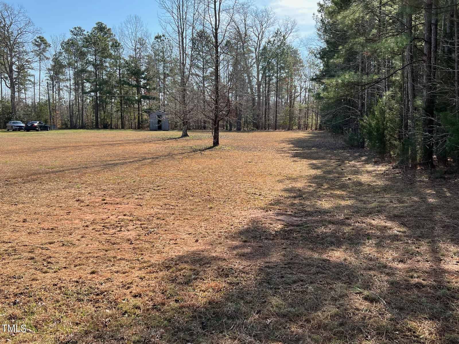 Open field with scattered trees under a clear sky, adjacent to a dense pine forest. in the background, a small structure and parked vehicles are visible. shadows from the trees stretch across the grassy terrain.