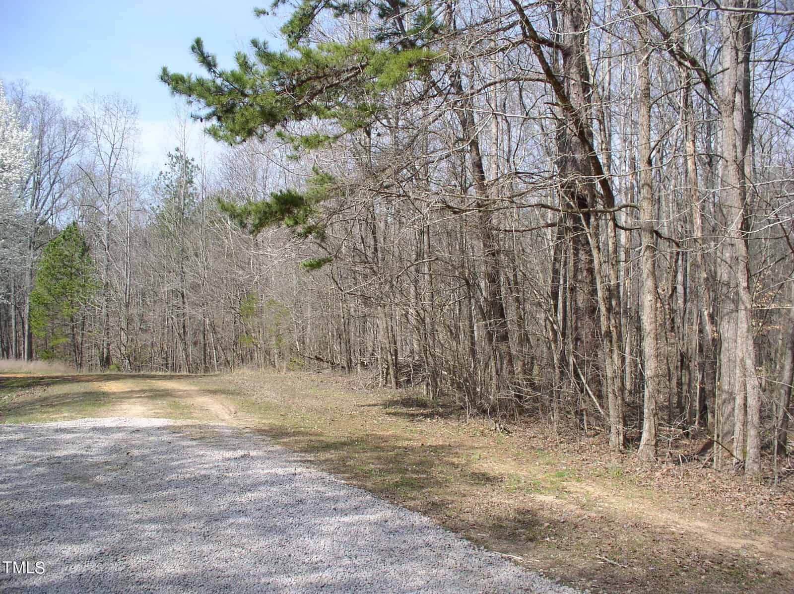 A tranquil woodland scene with a gravel path curving through leafless trees and evergreens under a clear sky.