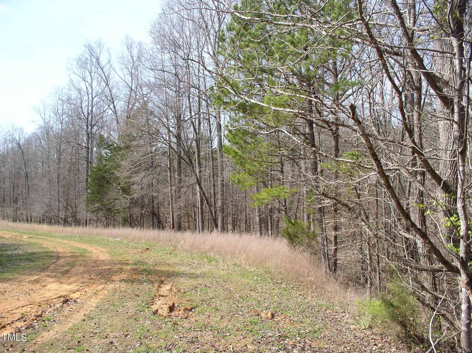 A lush rural landscape featuring a winding dirt path on the left with tall trees bearing early spring foliage and bare branches, dry grass on the right under a clear sky.