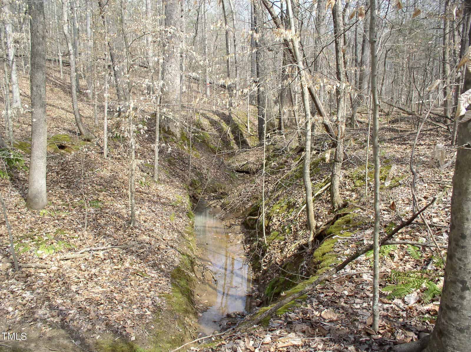 A tranquil woodland scene featuring a narrow stream meandering through leaf-strewn ground, surrounded by trees with early spring foliage. bright sunlight filters through the bare branches.