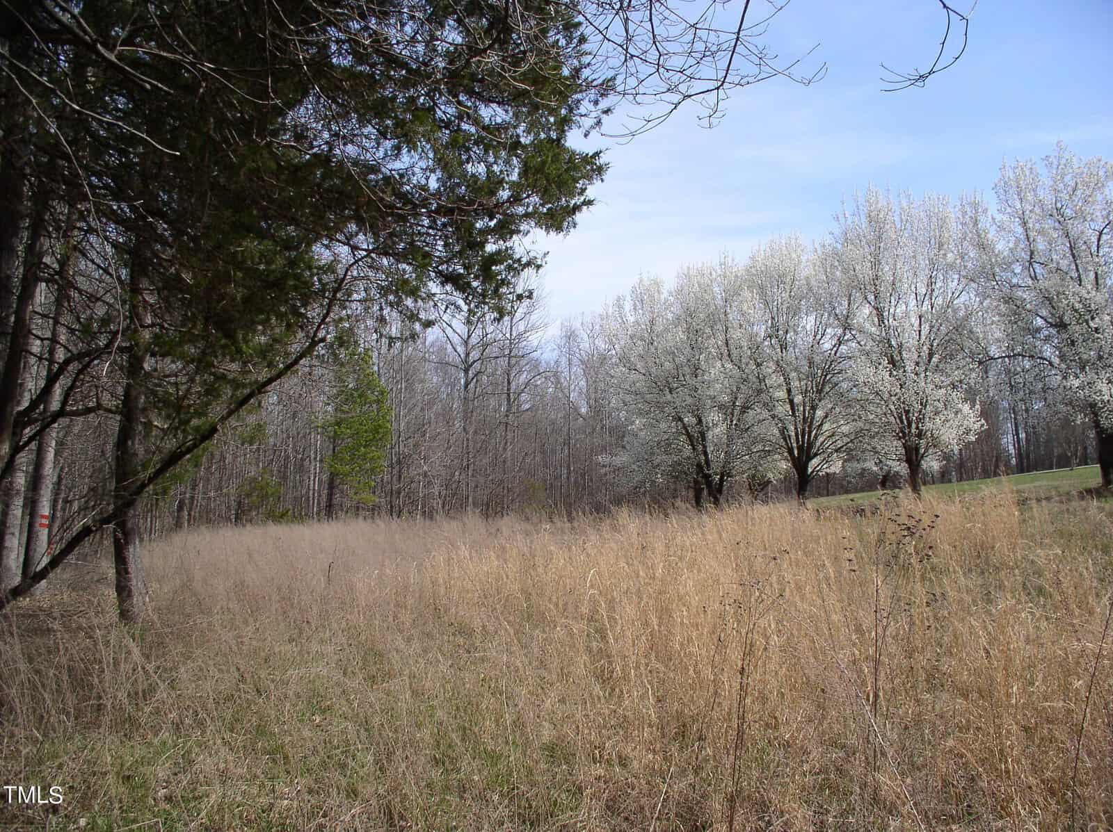 A scenic rural landscape featuring dry tall grass in the foreground and flowering trees in the background under a clear blue sky.