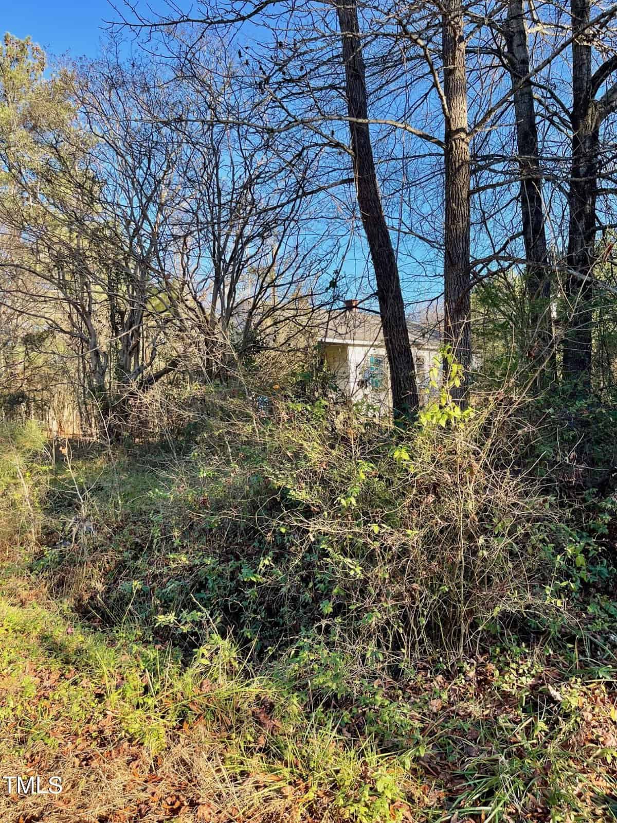 Overgrown vegetation and wild shrubs at 1516 Hight Street, Henderson NC obscure a neglected, small white house surrounded by tall, leafless trees under a clear blue sky.