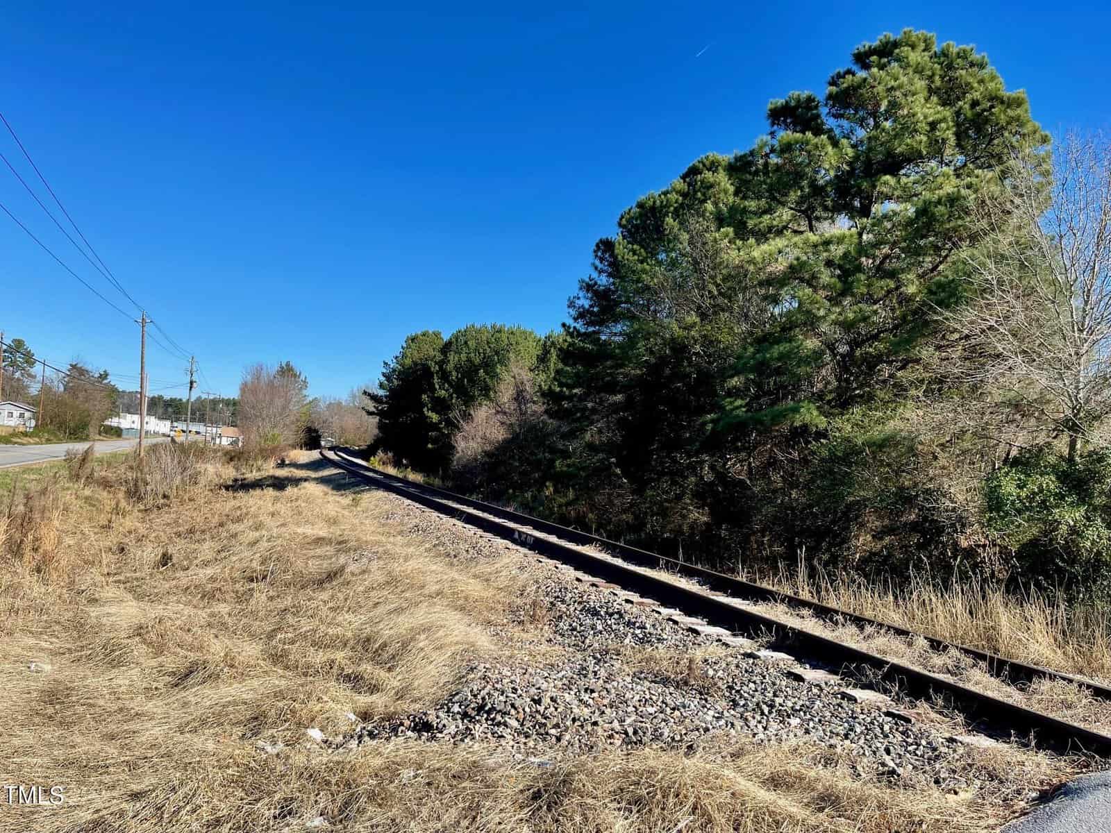 Railroad tracks running through a rural area with scattered trees and shrubbery, under a clear blue sky. the tracks extend toward the horizon, flanked by dry grass and a road visible on the right.