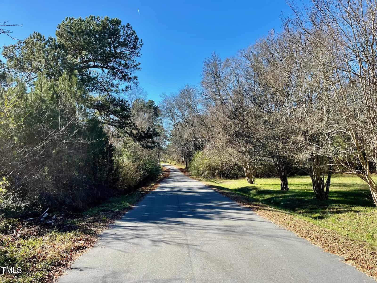 A sunny rural road lined with a mix of evergreen and deciduous trees, casting shadows on the pavement, under a clear blue sky.
