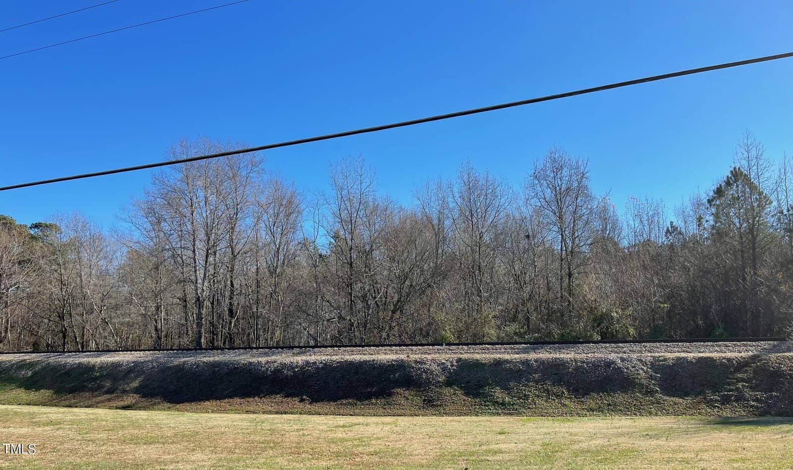 A sunny landscape featuring a lush green field in the foreground, with a line of leafless trees and shrubbery behind it under a clear blue sky, intersected by power lines.
