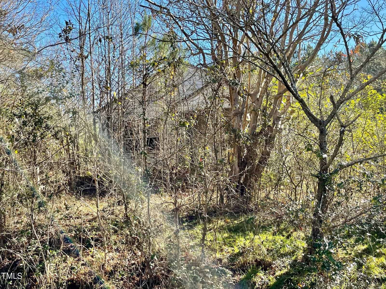 An old, abandoned house surrounded by dense vegetation and trees, with sunlight filtering through the branches.