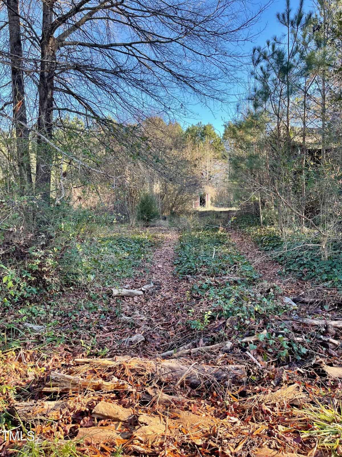 Dirt path lined with fallen leaves leading through a wooded area, with trees and greenery on either side under a clear blue sky. a distant structure is visible through the trees at the end of the path.