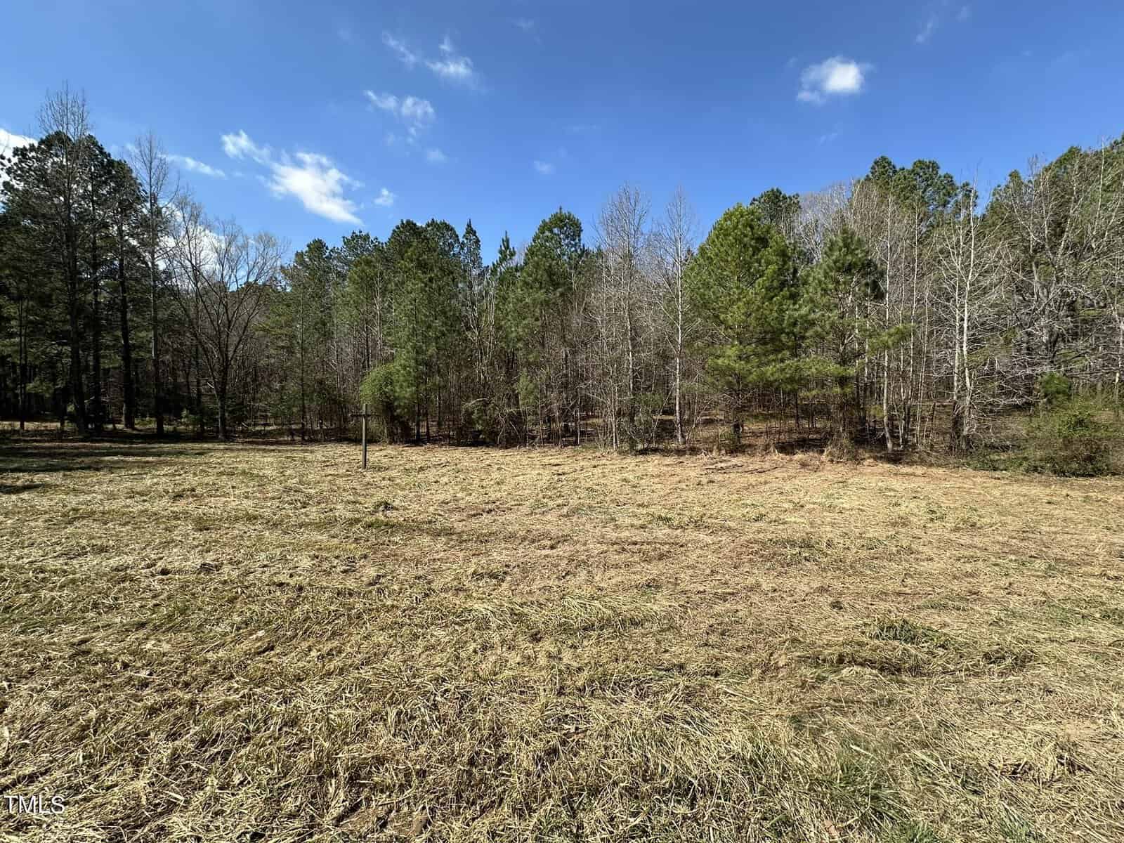 A grassy open field is bordered by a dense line of trees under a clear blue sky. Sparse clouds are visible, and the area is illuminated by sunlight, showcasing a natural and tranquil landscape.