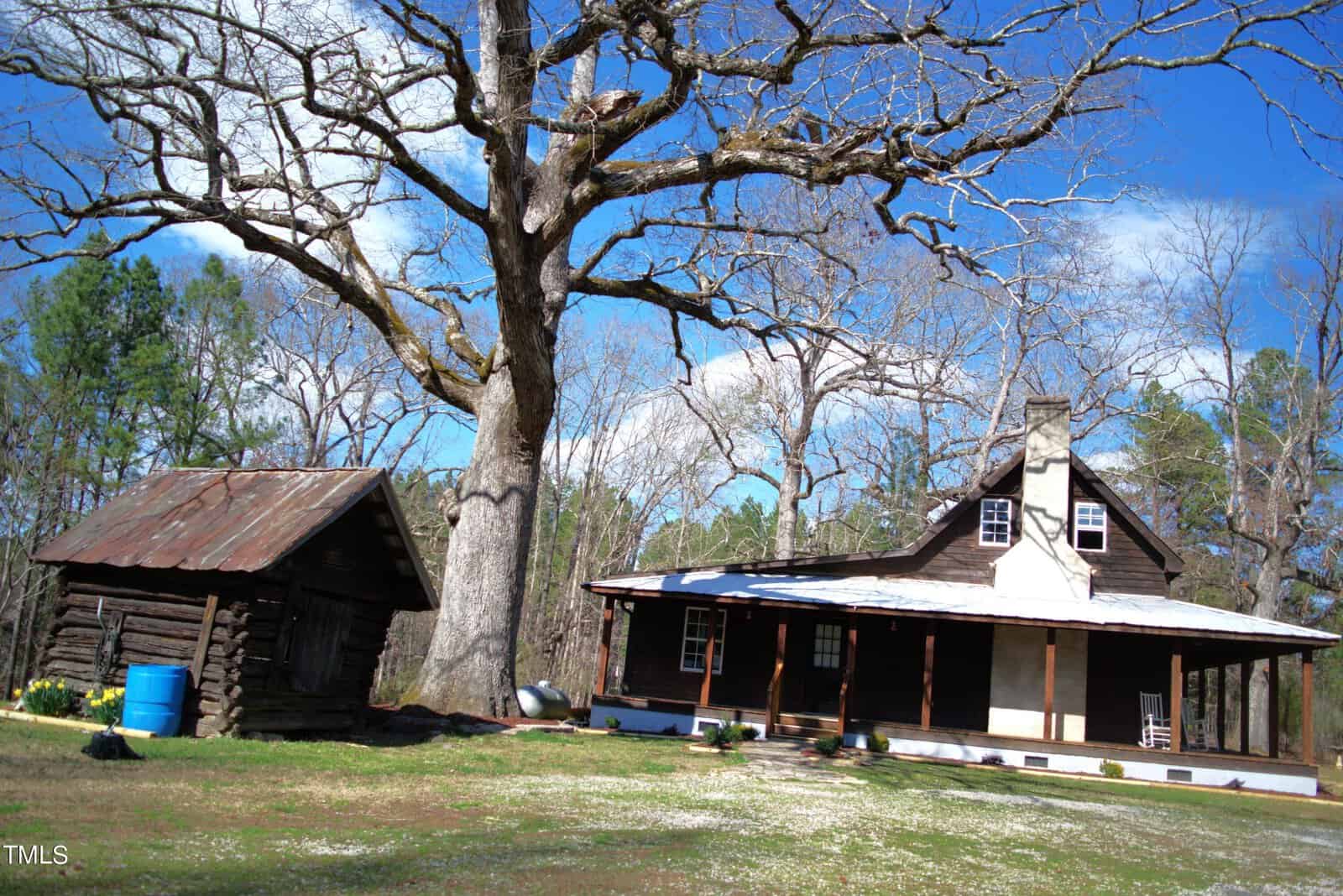 A rustic log cabin with a metal roof and a porch sits beside a large, leafless tree under a bright blue sky. A smaller wooden shed with a tin roof stands nearby. Sparse patches of grass and moss cover the ground.