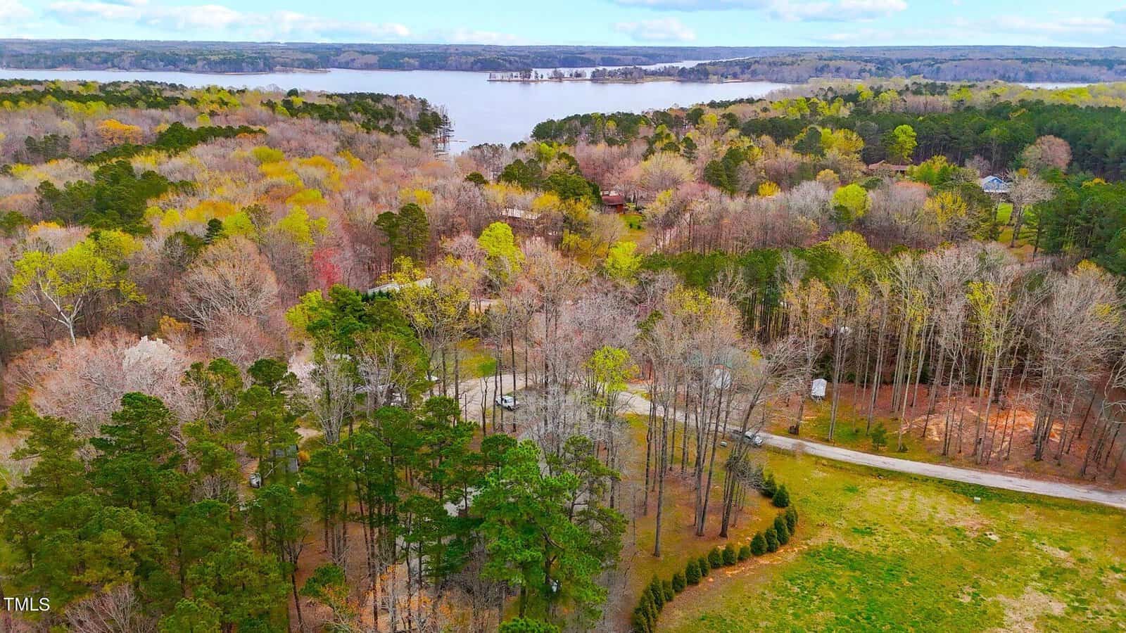 Aerial view of a vibrant landscape featuring a mix of evergreen and deciduous trees with a lake in the background, surrounded by scattered houses and a winding road.