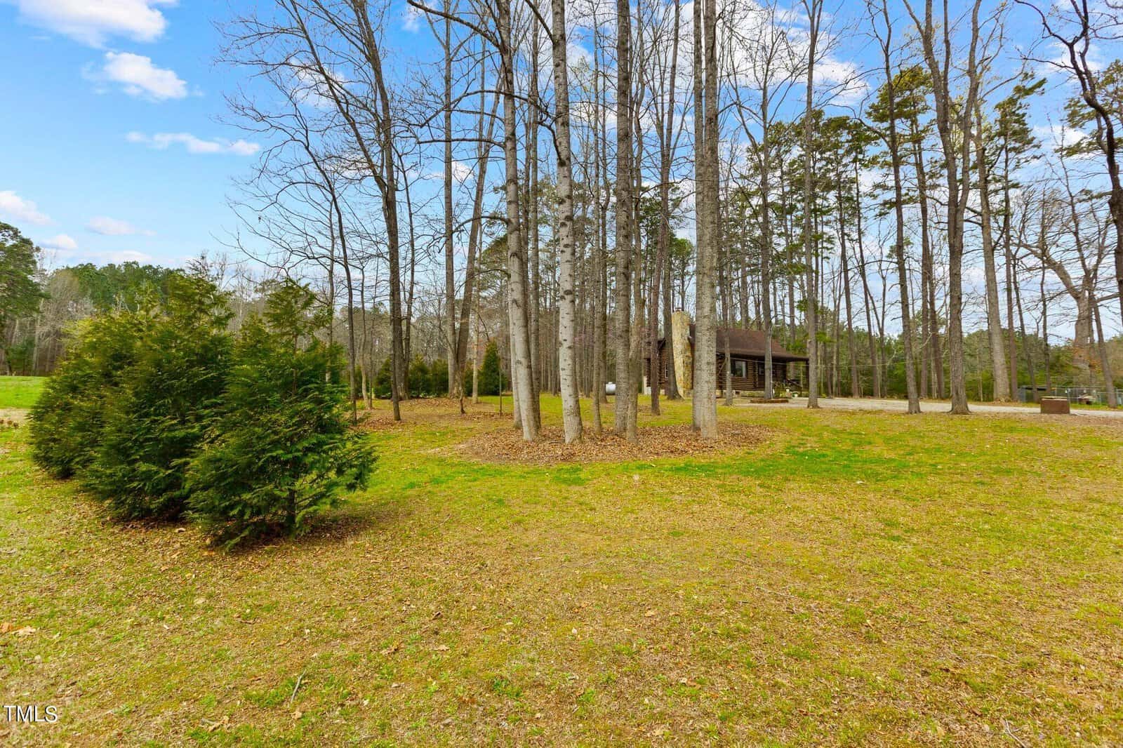 A scenic outdoor area showing a lush green landscape with several tall, bare trees, and a small house partially hidden in the background under clear skies.