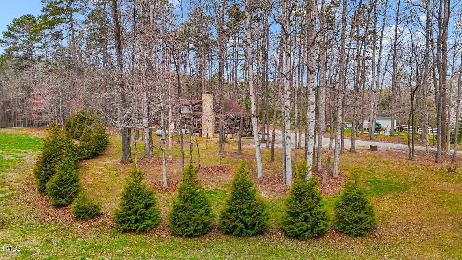 Aerial view of a rustic cabin surrounded by tall, slender trees and a row of neatly trimmed conical shrubs, with a lush green lawn and a clear blue sky above.