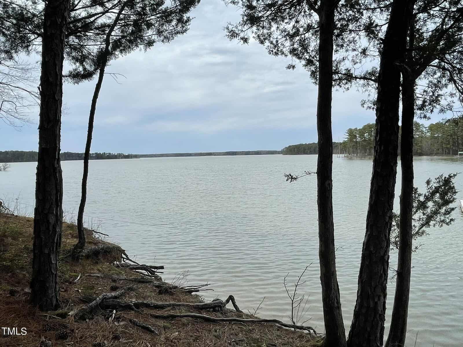 View of a calm lake surrounded by trees under an overcast sky. The foreground features tree trunks and rough ground leading to the water's edge. Dense forest lines the distant shoreline.