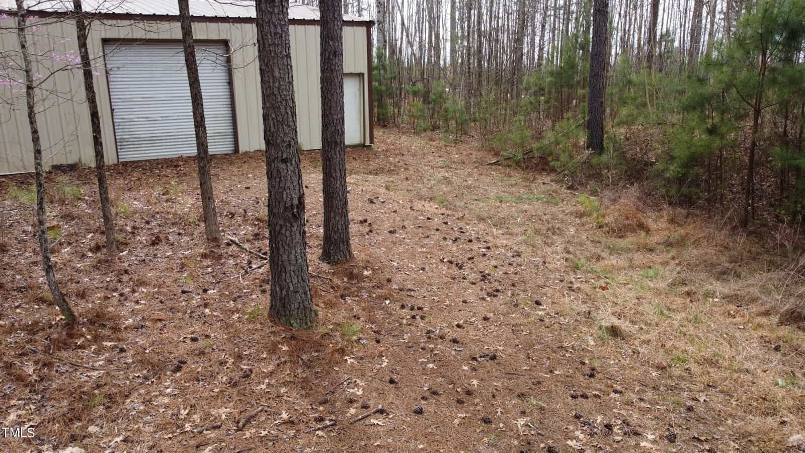A metal shed with a large white door stands in a forest area. Pine needles and cones cover the ground, surrounded by tall trees.