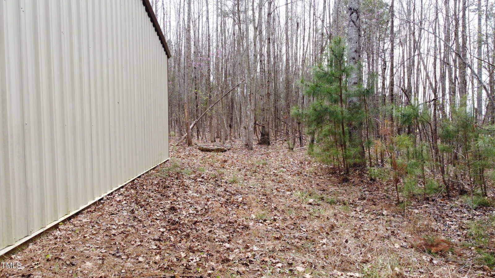 A beige metal building stands on the left. To the right, a wooded area with bare trees and some small evergreens is visible. The ground is covered with fallen leaves and grass, suggesting a late autumn or early winter setting.