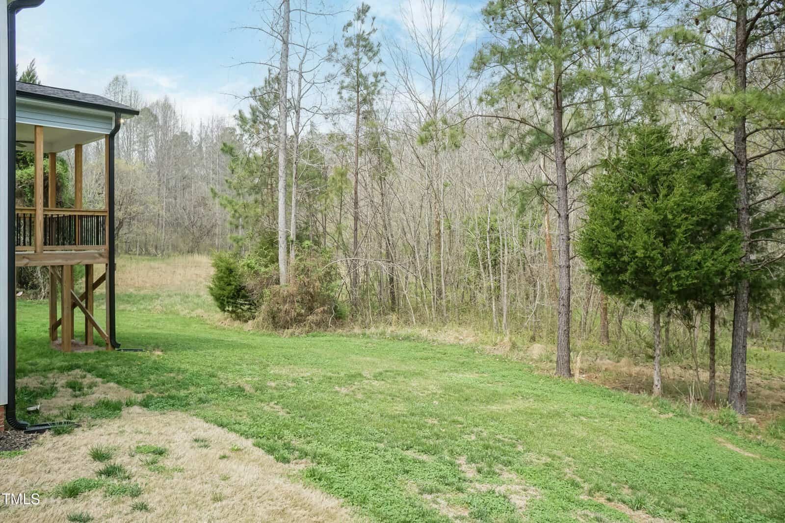 A backyard with a grassy lawn and a wooden deck on the left. The scene is bordered by tall trees and a dense, leafless forest in the background under a cloudy blue sky.