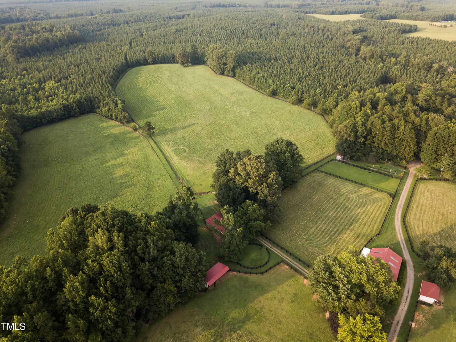 Aerial view of a rural landscape featuring green fields and patches of forest. A few red-roofed buildings, including barns, are scattered throughout. A winding dirt road leads through the countryside, surrounded by lush vegetation.