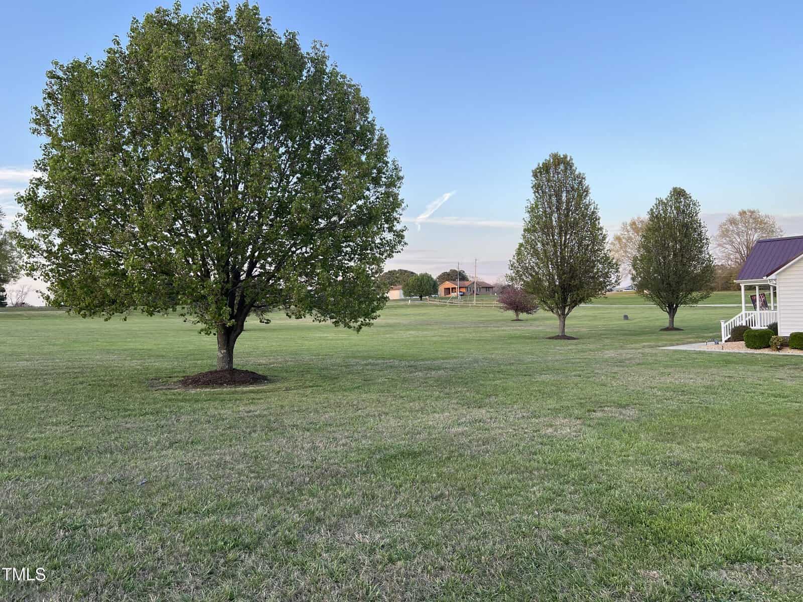 A serene landscape with a lush green lawn, featuring several large trees and a small white building on the right. a distant house is visible in the background under a clear blue sky.