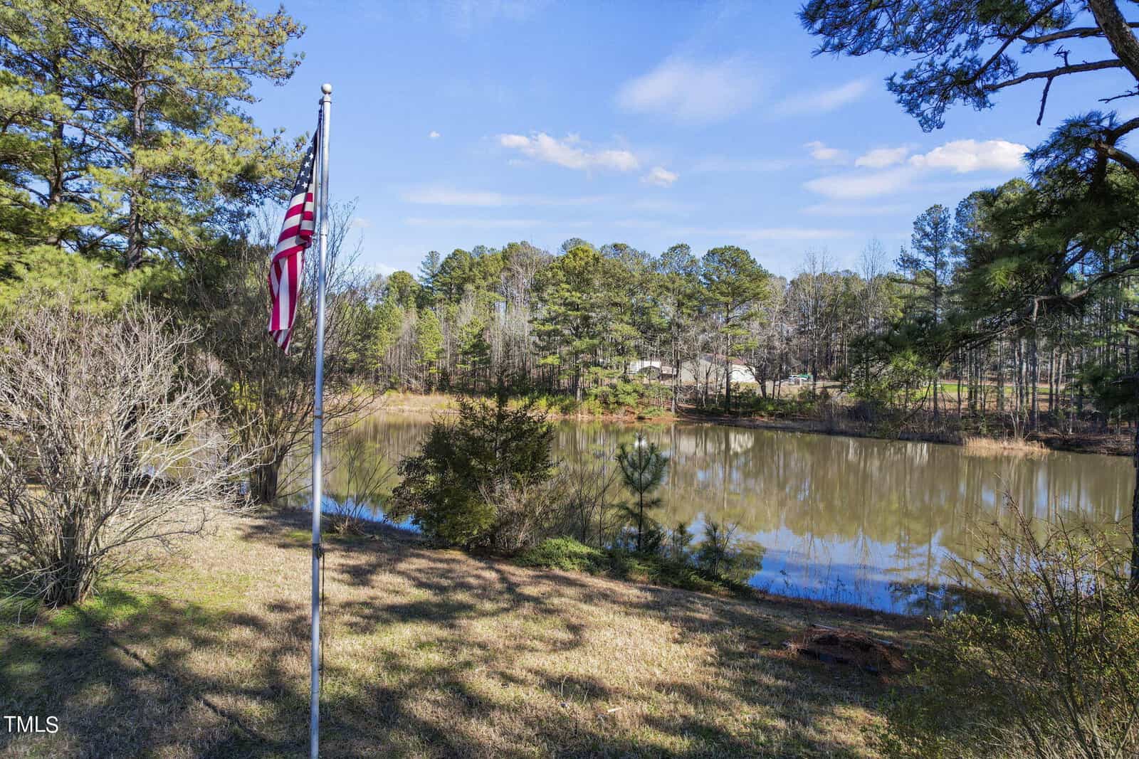 American flag on a pole beside a tranquil pond surrounded by lush green trees under a clear blue sky.