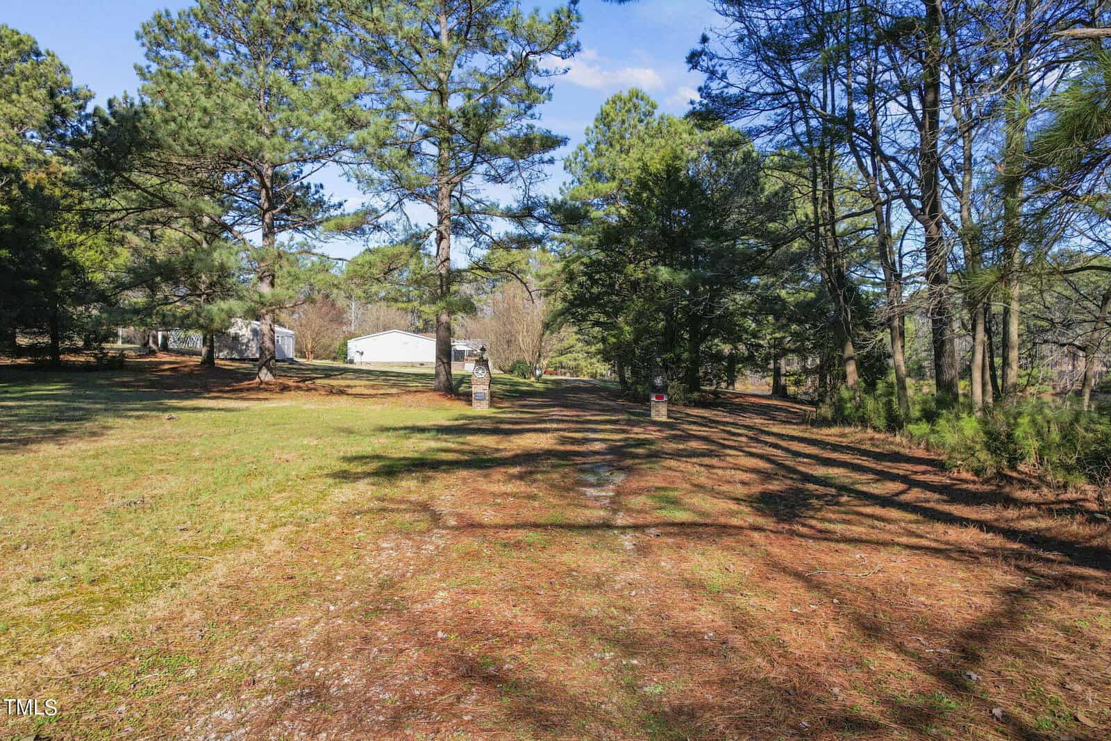 A sunny rural landscape showing a wide grassy field with scattered pine trees and a small white house in the distance under a clear blue sky.