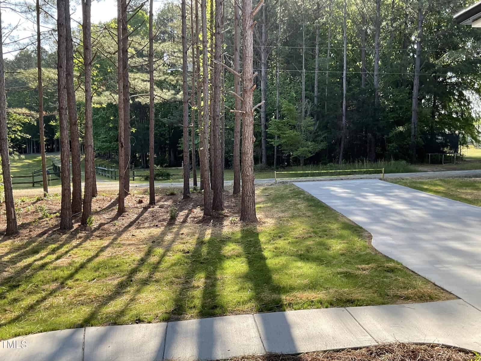 A concrete driveway leads to a forested area with tall pine trees casting long shadows on a lawn. The scene is bathed in sunlight, and a paved walkway is visible in the foreground.