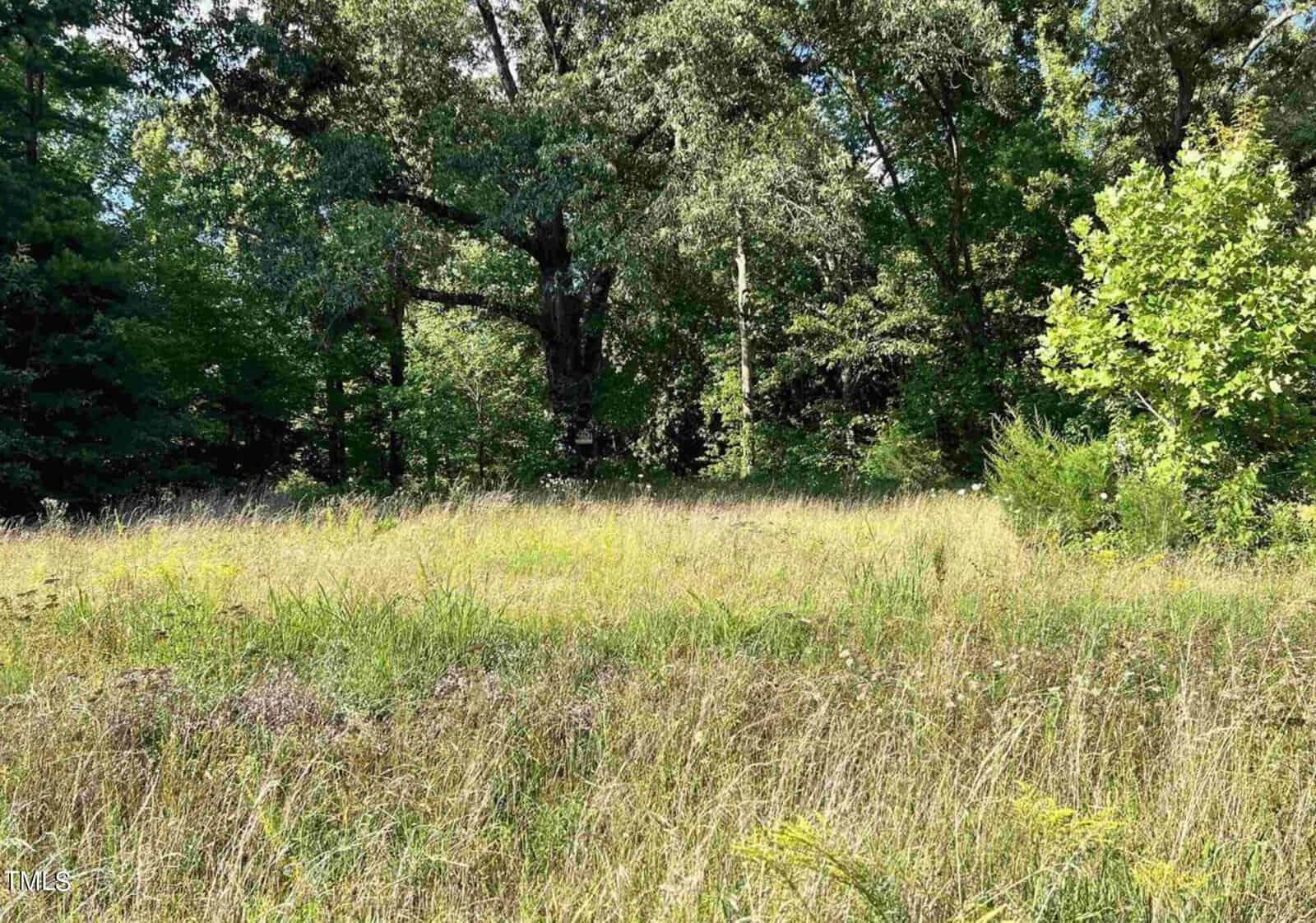 A sunny meadow with tall grass and wildflowers surrounded by lush green trees under a clear blue sky. Shadows create dappled areas across the grass, suggesting a peaceful and natural setting.