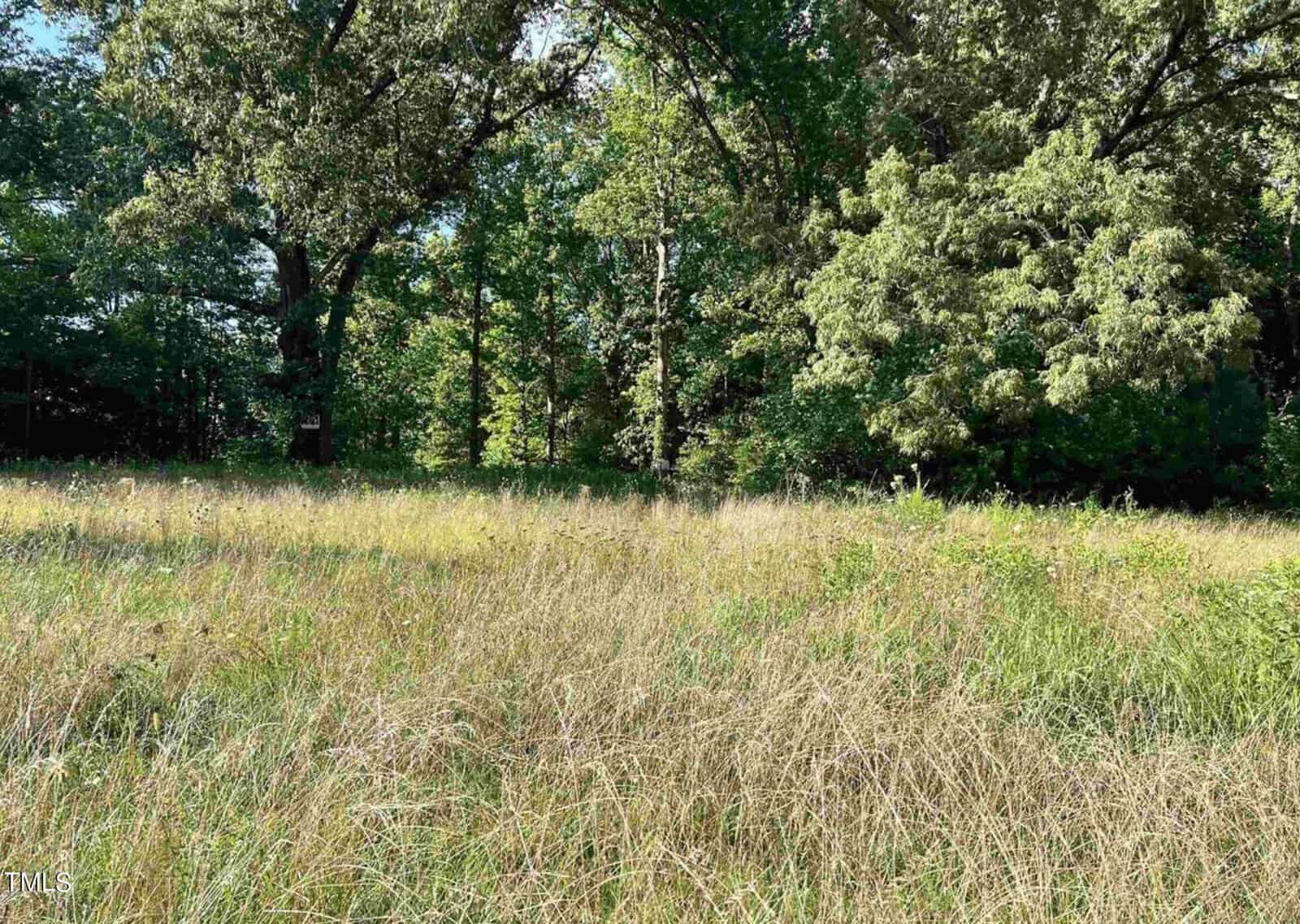A lush field with tall grasses under a clear sky, bordered by dense trees. Sunlight filters through the foliage, casting dappled shadows on the ground.
