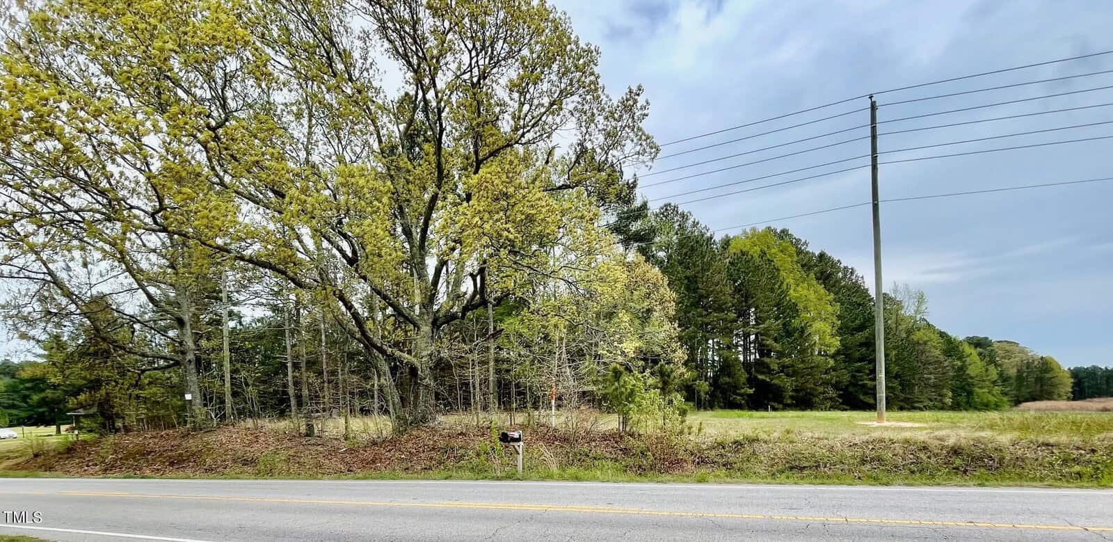 A roadside scene at 01 Bearpond Road, Henderson NC, with a large tree surrounded by smaller trees and bushes on a slightly raised dirt area, with a grassy field and power lines visible under
