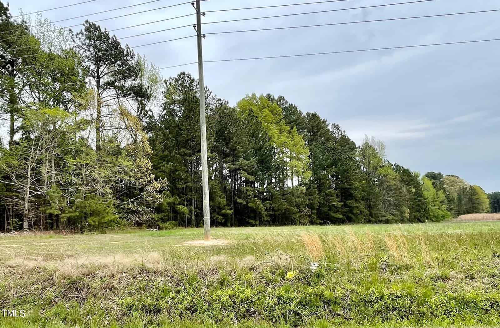 A rural landscape featuring a grassy field bordered by a dense line of mixed trees under a cloudy sky, with a utility pole prominently positioned in the foreground.