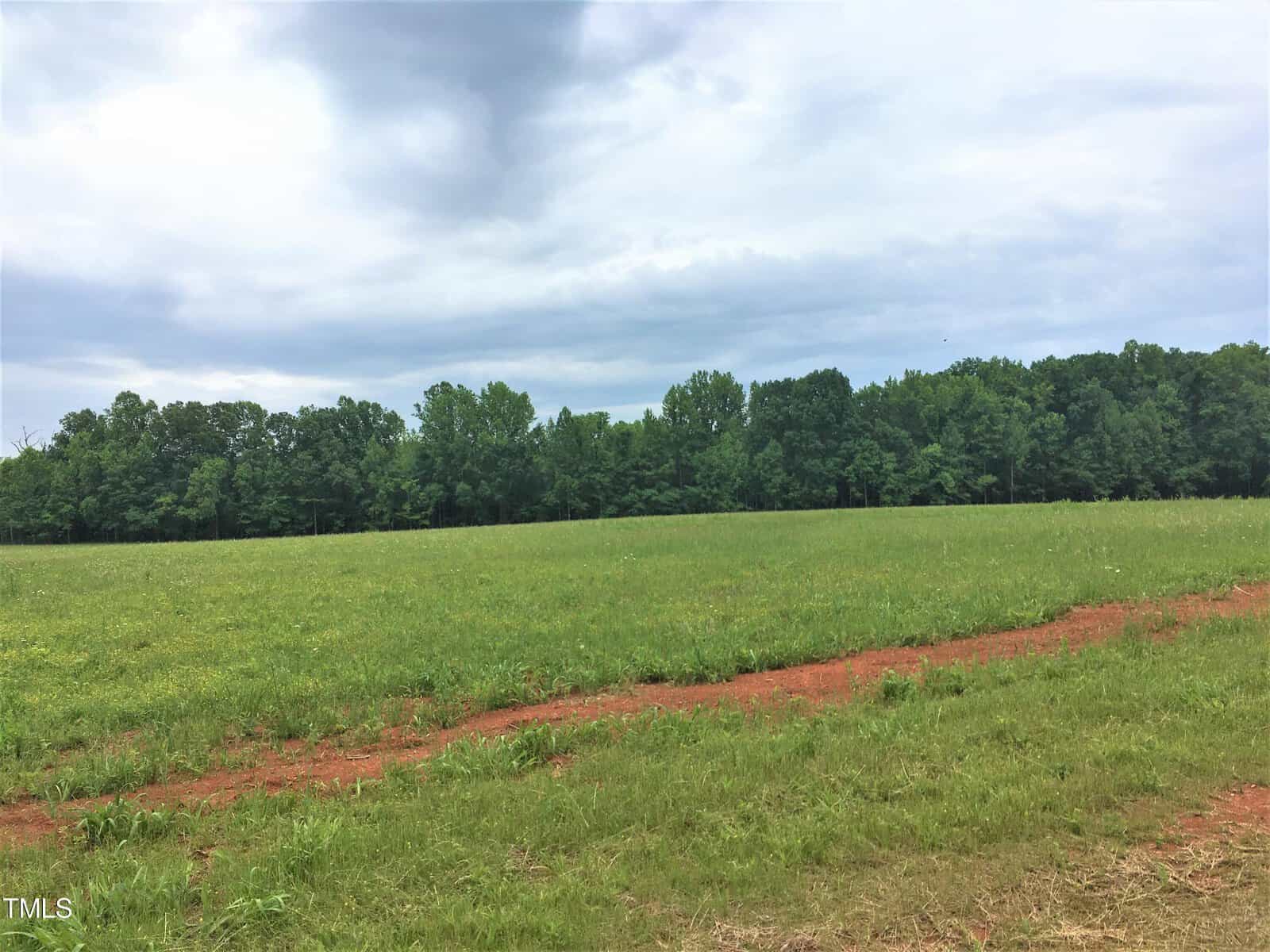 A wide, open field with green grass and patches of red soil under a cloudy sky. A line of dense trees borders the field in the background.