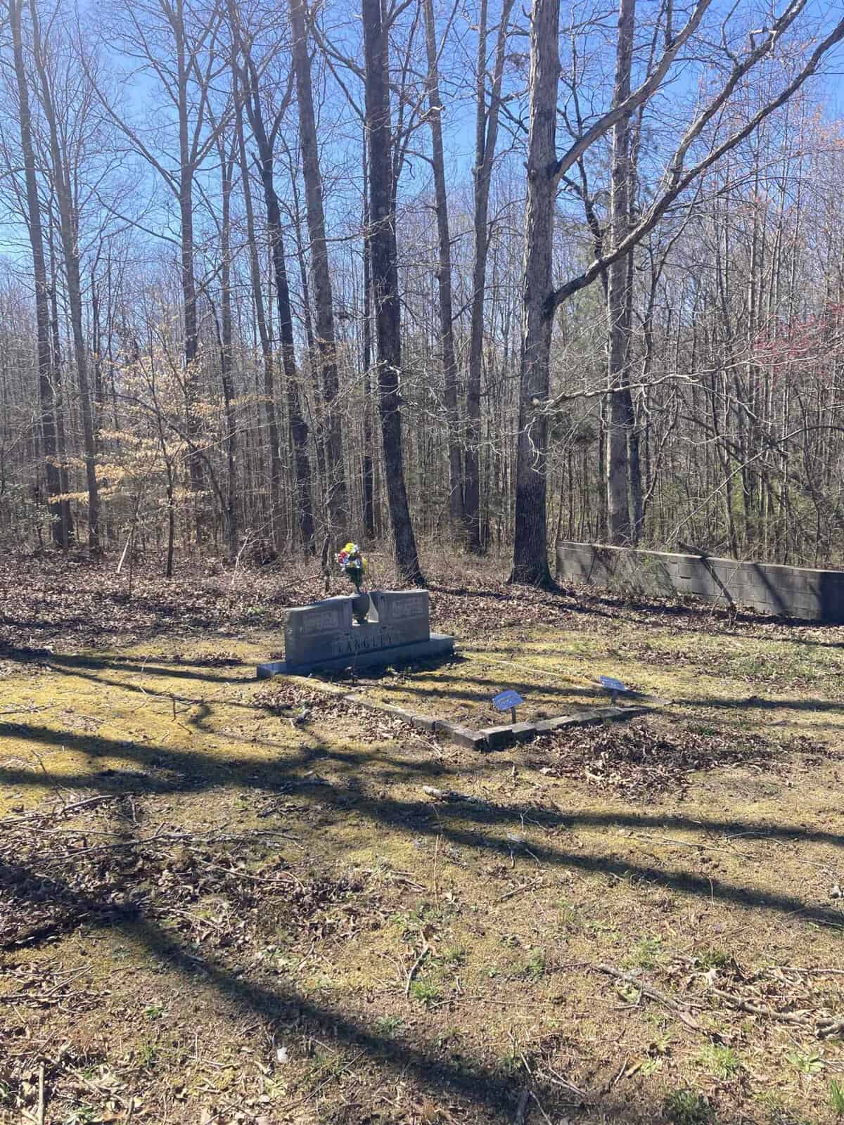 A calm woodland area with leafless trees under a clear sky. long shadows stretch across a sunlit, leaf-strewn ground. in the center, a transformer box is surrounded by a small fence.
