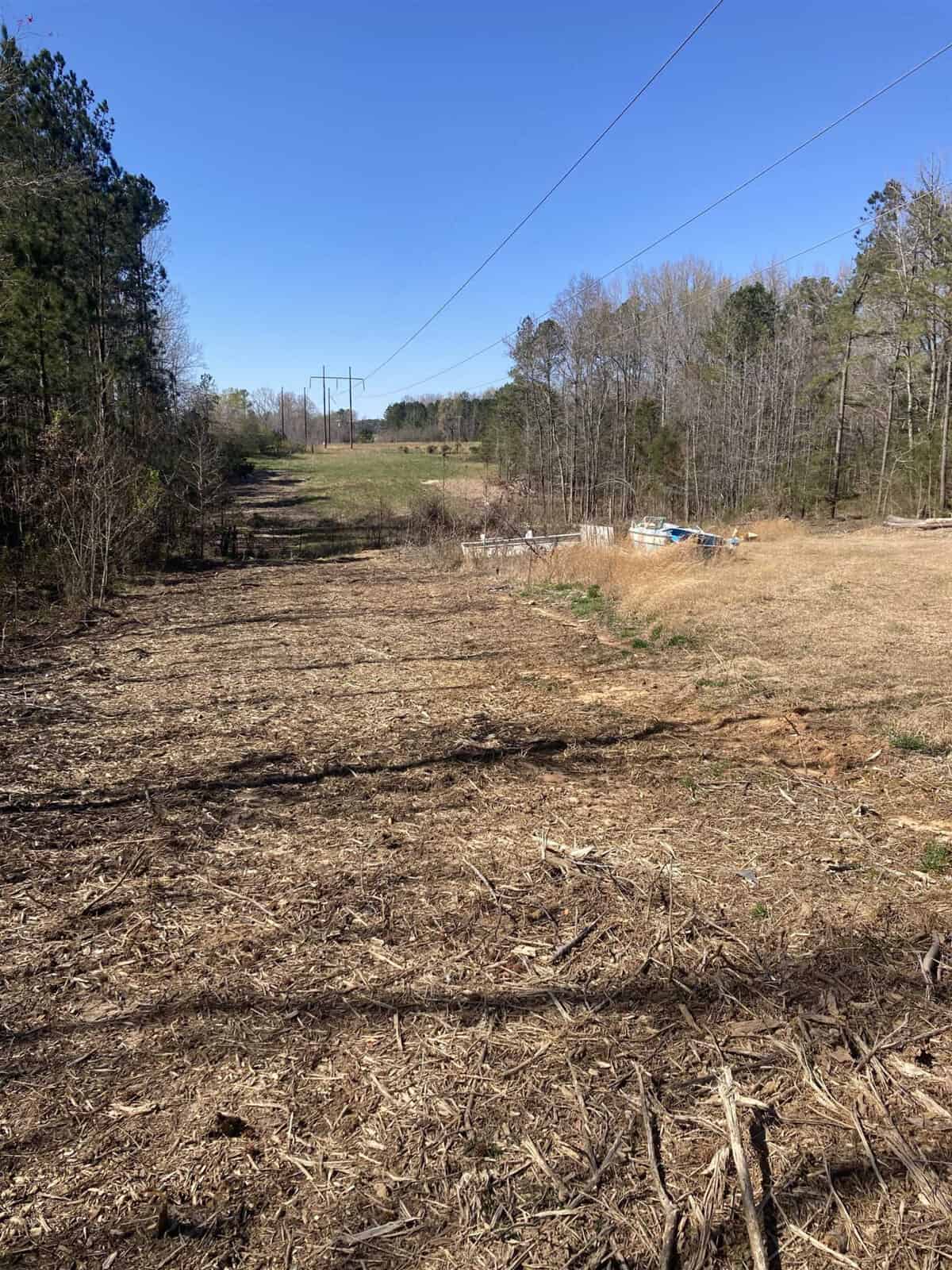 A rural landscape featuring a cleared area with scattered vegetation under a clear sky. a path leads towards trees in the distance, with a pile of brush and a blue object on the right.